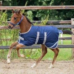 Deka lehká Bucas Foal Turnout 50g