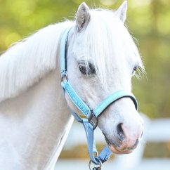 Ohlávka HV POLO Nena léto 2026