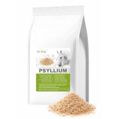 Dromy Psyllium 1kg