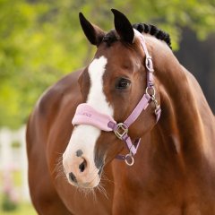 Set ohlávky a vodítka LeMieux Vogue léto 2026