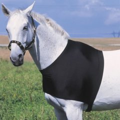 Vesta pro koně Equi-Theme elastická