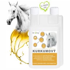 Dromy Kurkumový sirup 1l