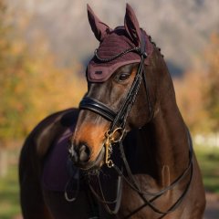 Čabraka na uši LeMieux Essence zima 2025