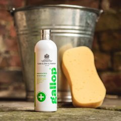 CDM Gallop Medicated šampon 500ml