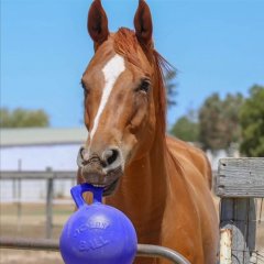 Jolly Ball míč na hraní