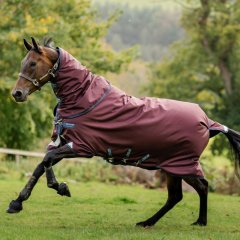 Výběhová termodeka Horseware Amigo 1200D Plus 50g