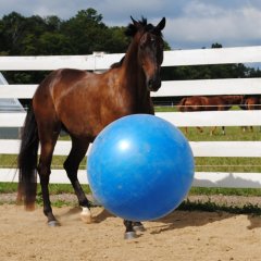 Mega Jolly Ball míč na hraní modrý