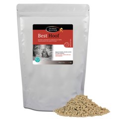 Horse Master Best Hoof