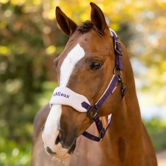 Set ohlávky a vodítka LeMieux Vogue zima 2025