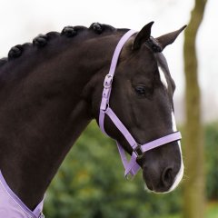 Ohlávka Imperial Riding Classic Sport zima 2024