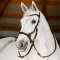 Bezudidlová uzdečka Horseware Micklem