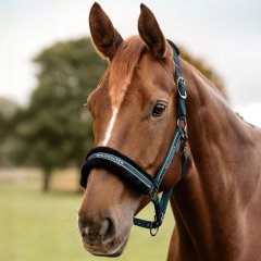 Ohlávka Waldhausen Elegant