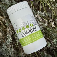 Dromy Laminitic 1,5kg