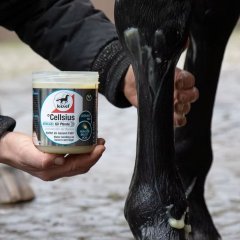 Leovet Cellsius chladivý gel 600ml