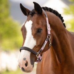 Kožená ohlávka LeMieux Capella léto 2026