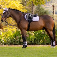 Podsedlová dečka LeMieux Suede zima 2025