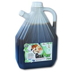 GelaPony Fast Biosol 3l