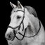 Uzdečka Horseware Micklem Deluxe Competition
