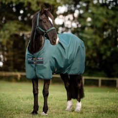 Výběhová termodeka Horseware Amigo 900D 200g zima 2025