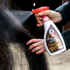 Leovet Power Striegel lesk pro tmavé koně 550ml