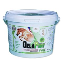GelaPony Fast
