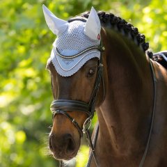 Čabraka na uši LeMieux Classic léto 2026