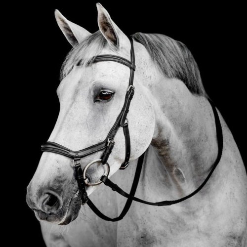 Uzdečka Horseware Micklem Deluxe Competition