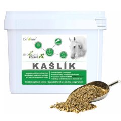 Dromy Kašlík