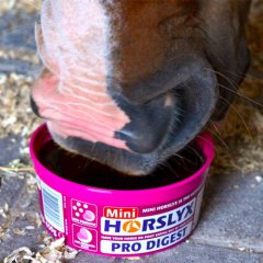 Horslyx Pro Digest