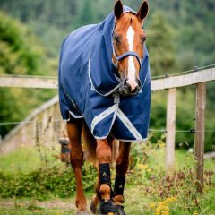 Výběhová termodeka Amigo Bravo 12 Plus 50g Bundle 3v1