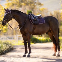 Podsedlová dečka LeMieux Loire zima 2025