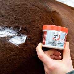Leovet Silbersalbe 150ml