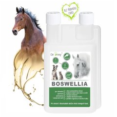 Dromy Boswellia 1l