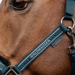 Ohlávka Waldhausen Elegant