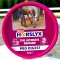 Horslyx Pro Digest