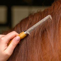 Hřebínek na hřívu Waldhausen s rukojetí