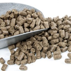 Höveler Pur.Gastro granule 20kg